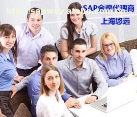 選擇上海悠遠SAP咨詢公司，享受專業SAP金牌服務